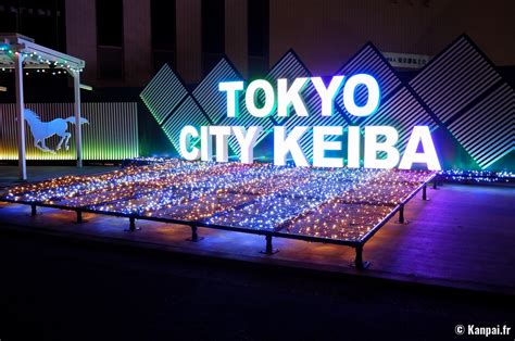 tokyo mega illumination|Tokyo Mega Illumination .
